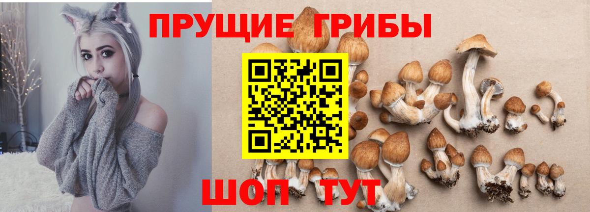 Псилоцибиновые грибы ЛСД Мытищи
