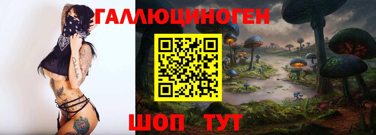 Галлюциногенные грибы MAGIC MUSHROOMS  Вход с VPN  Галлюциногенные грибы GOLDEN TEACHER  Мытищи 